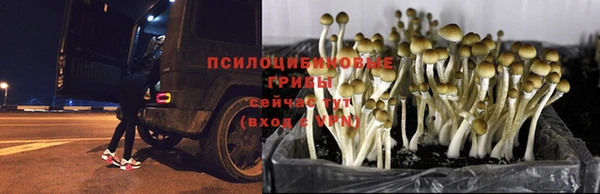 винт Зерноград