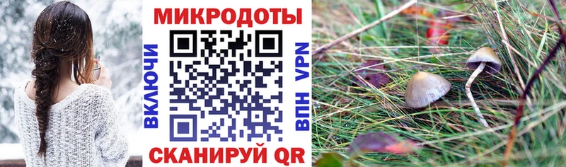 Галлюциногенные грибы Cubensis  Питкяранта 